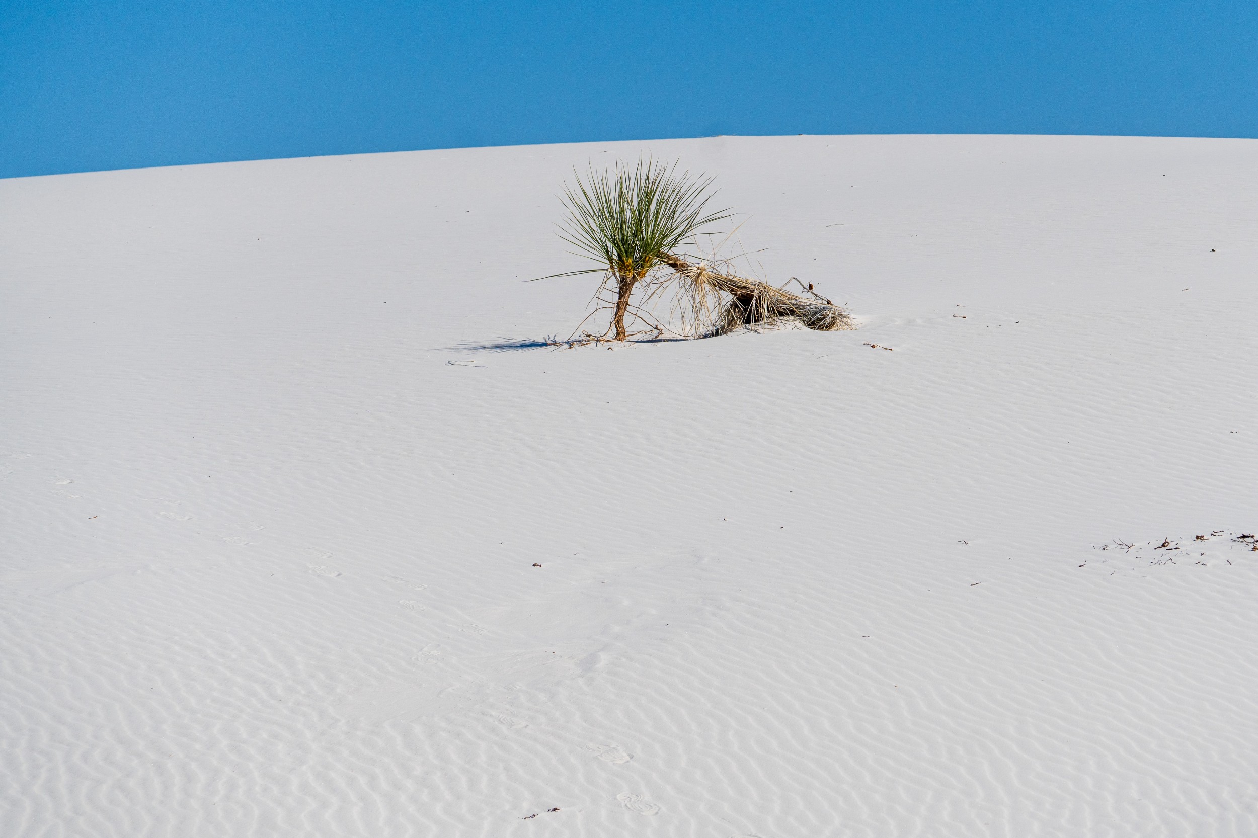 USA 2024 5 Sterne 63